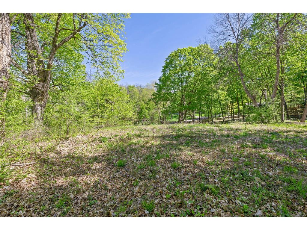1373 Rest Point Road Orono MN 55364 - Lake Minnetonka 7072425 image7