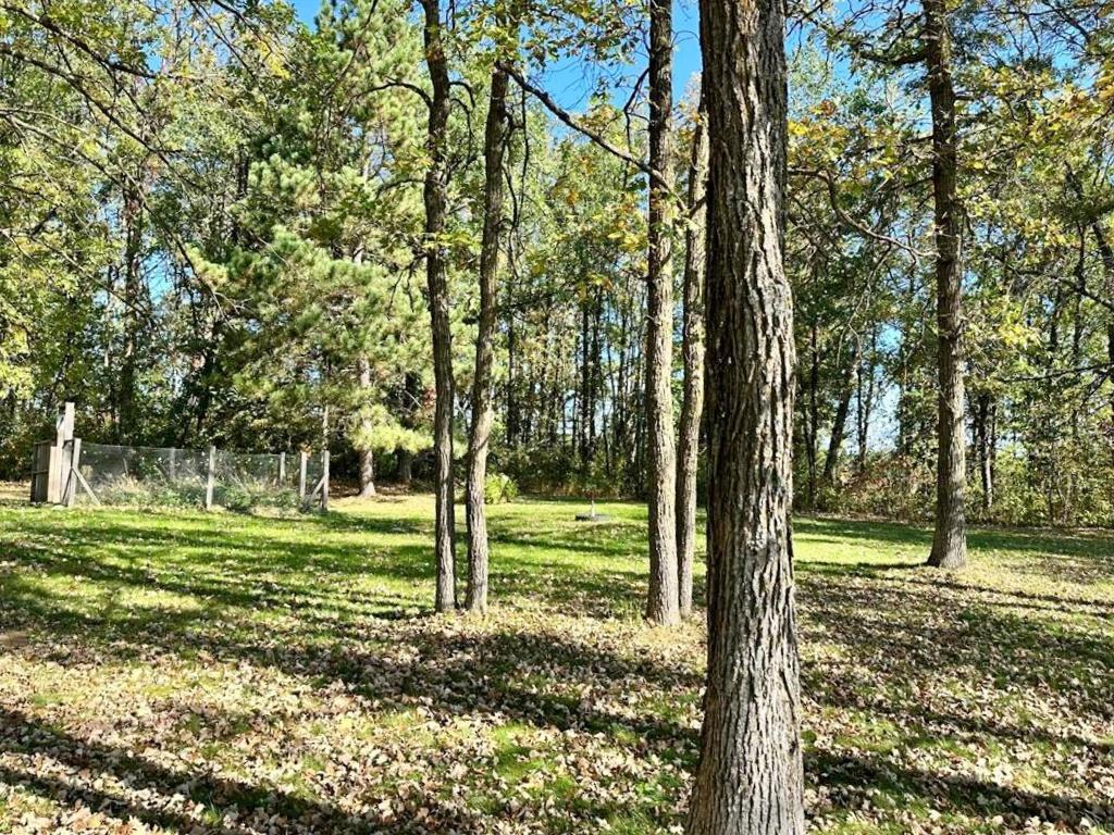 13737 109th Avenue Park Rapids MN 56470 6773453 image33