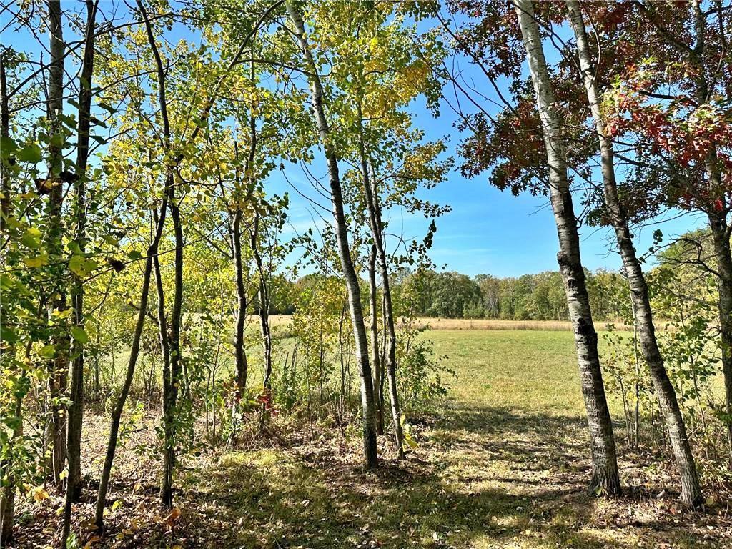 13737 109th Avenue Park Rapids MN 56470 6773453 image34