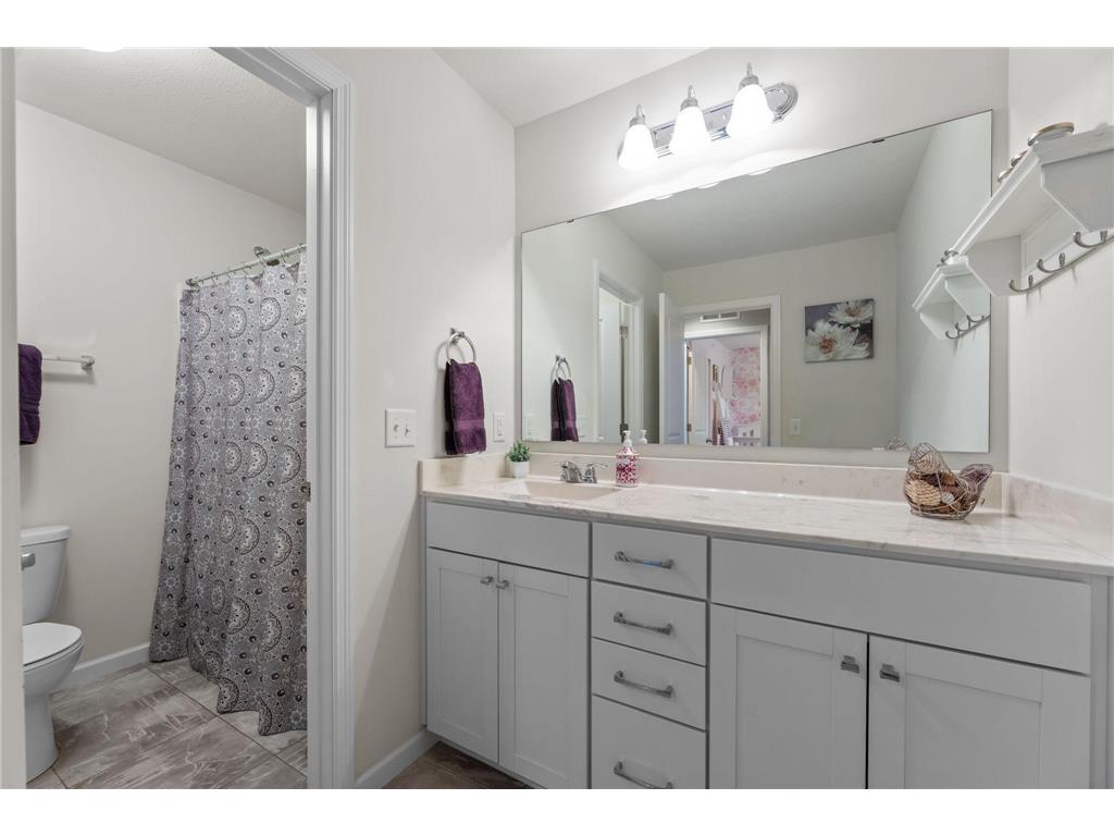 13738 54th Place N Plymouth MN 55446 7074902 image18