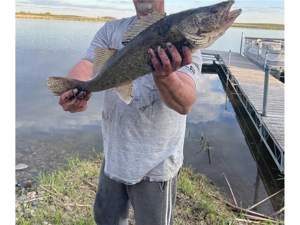 13739 429th Avenue Webster SD 57274 6721187 image82