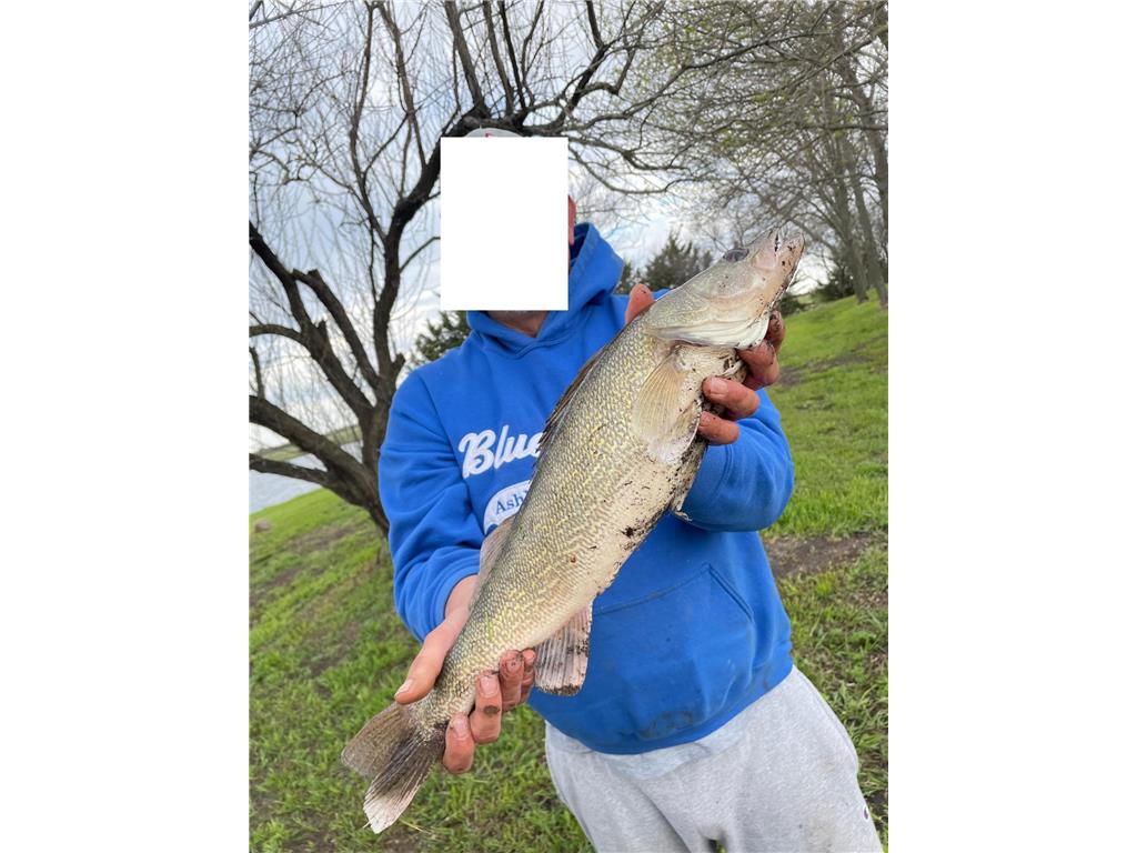 13739 429th Avenue Webster SD 57274 6721187 image83