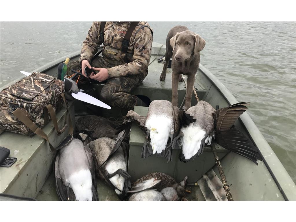 13739 429th Avenue Webster SD 57274 6721187 image84