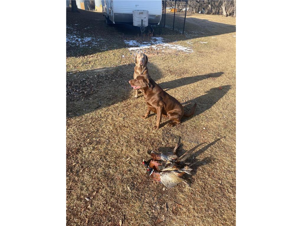 13739 429th Avenue Webster SD 57274 6721187 image85