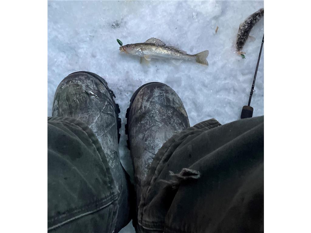 13739 429th Avenue Webster SD 57274 6721187 image87