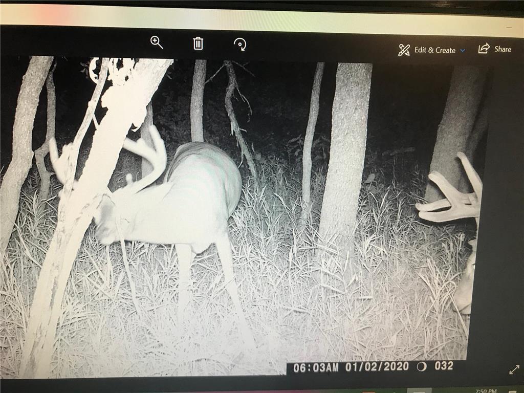 13739 429th Avenue Webster SD 57274 6721187 image89