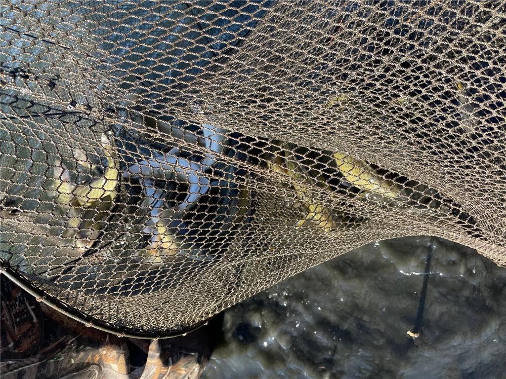 13739 429th Avenue Webster SD 57274 6721187 image90