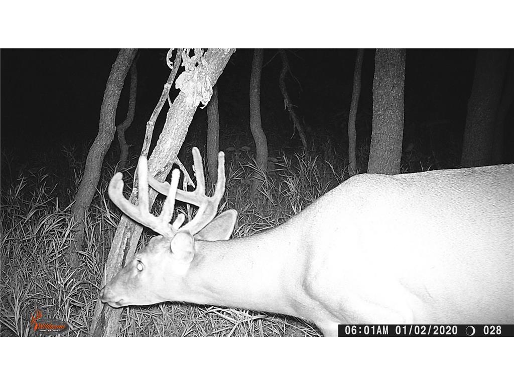 13739 429th Avenue Webster SD 57274 6721187 image92