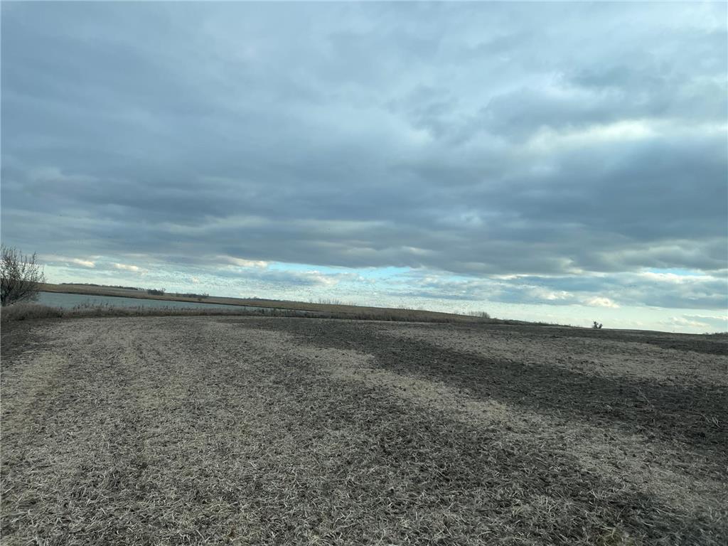 13739 429th Avenue Webster SD 57274 6721187 image93