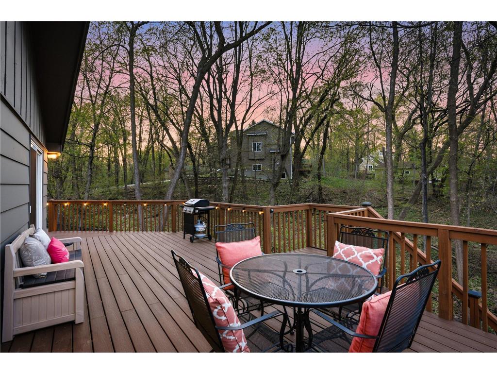 1375 Cherry Place Orono MN 55364 7100106 image40