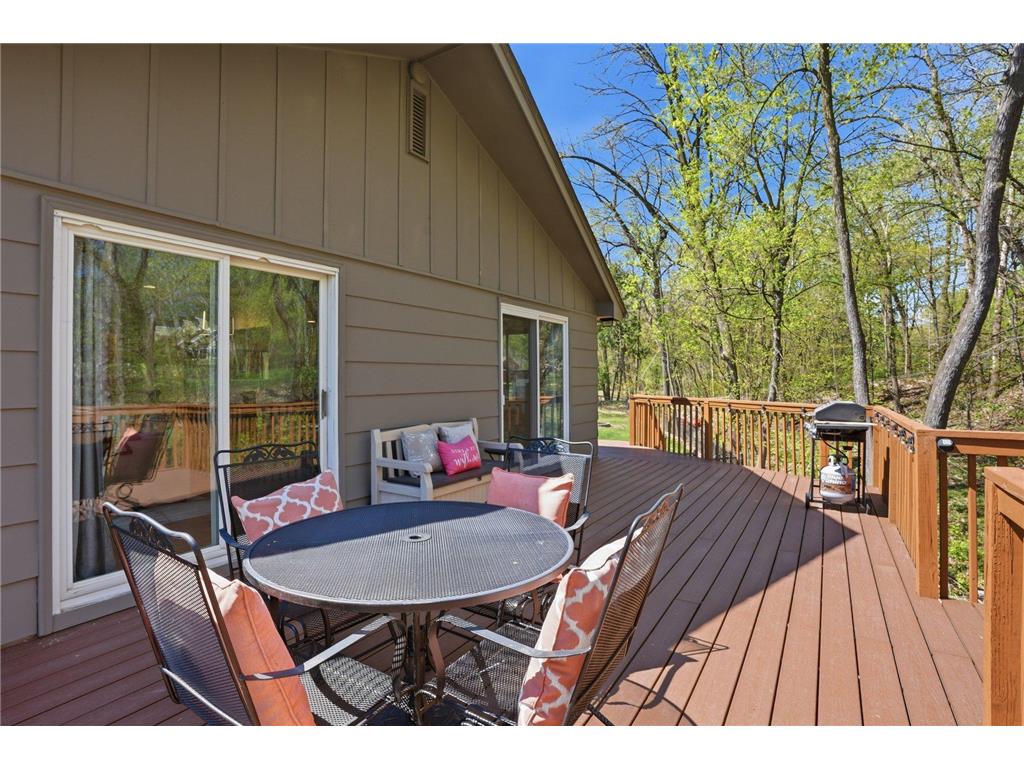 1375 Cherry Place Orono MN 55364 7100106 image41