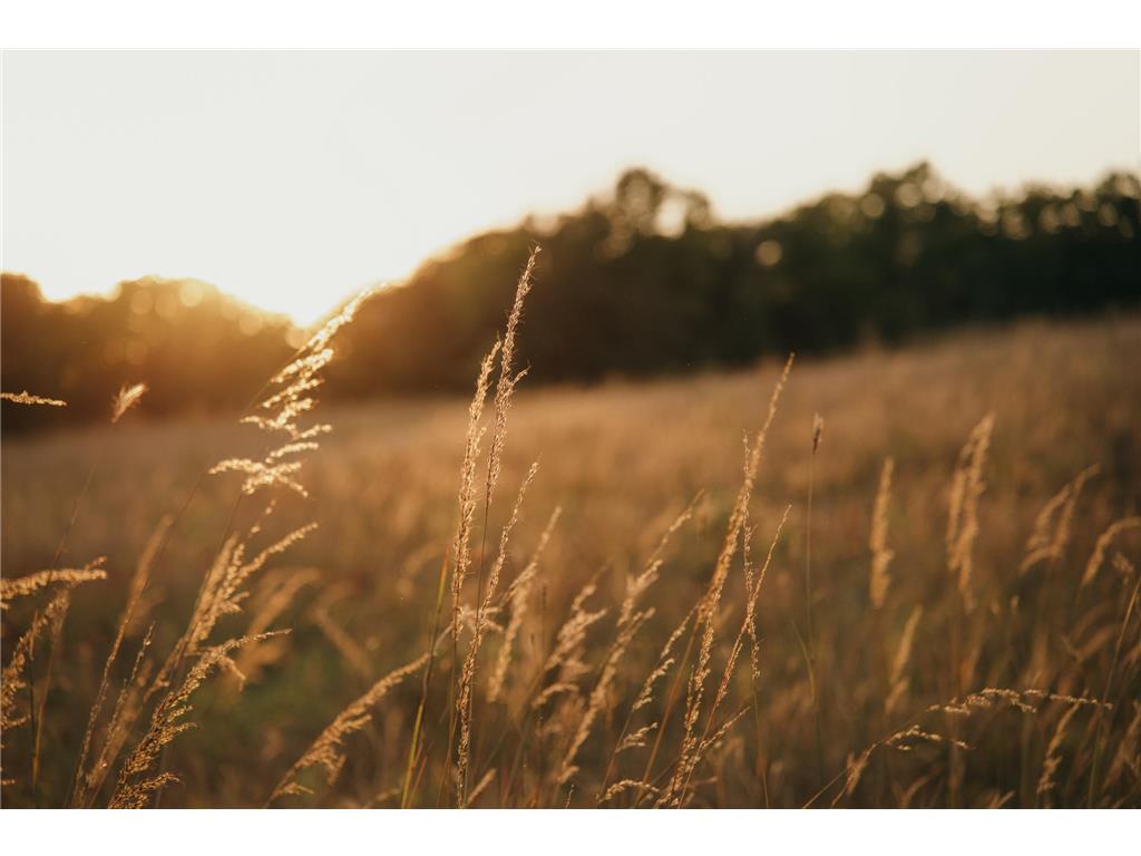 1376 Cobblestone Road N Champlin MN 55316 6793650 image10