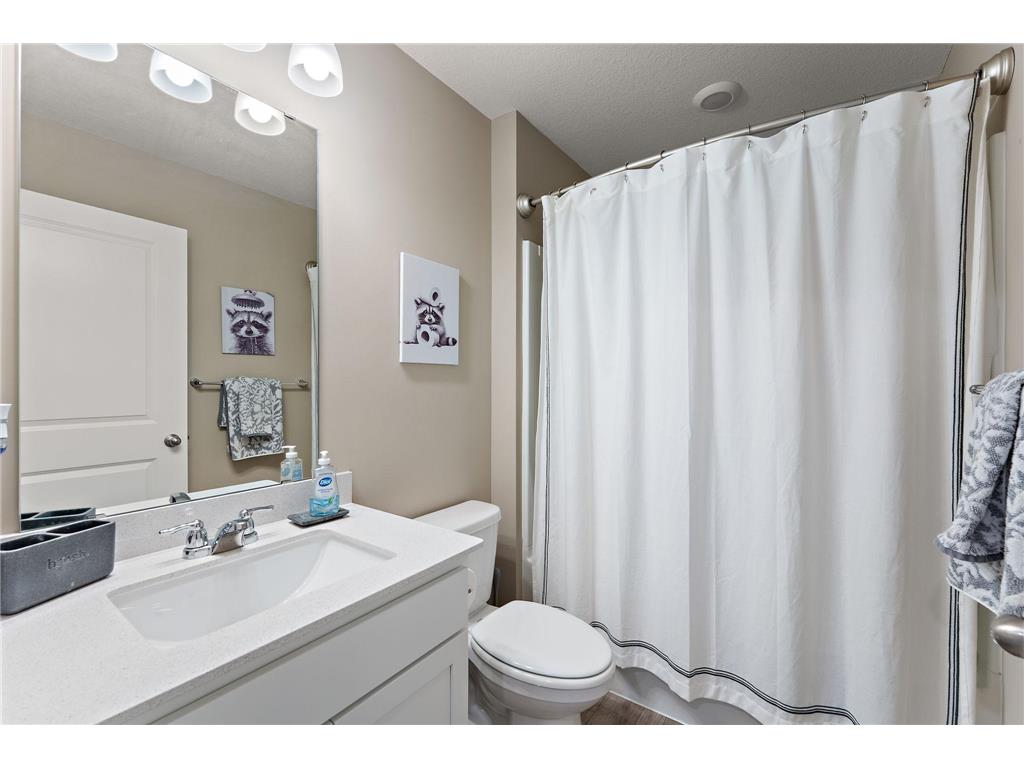 13760 Carrakay Way Rosemount MN 55068 7078016 image26