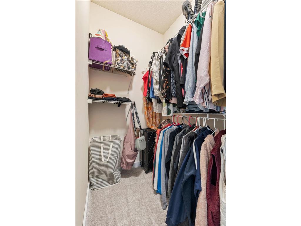 13761 Dorothy Drive Rogers MN 55374 7027100 image28