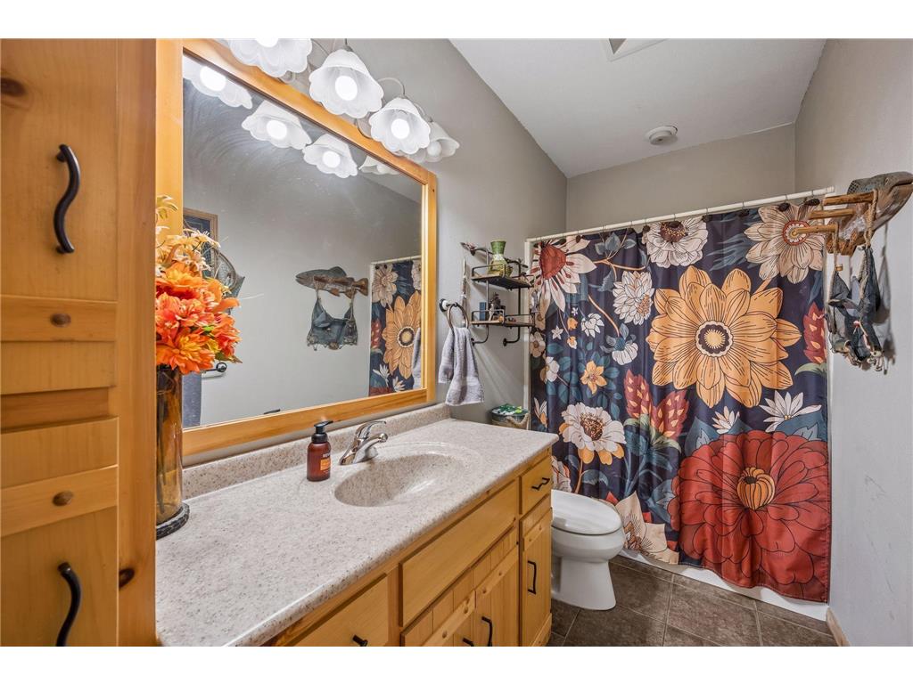 13763 County Road 3 Santiago Twp MN 55319 7074950 image36