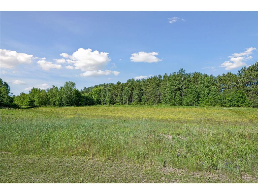 13763 County Road 3 Santiago Twp MN 55319 7074950 image59