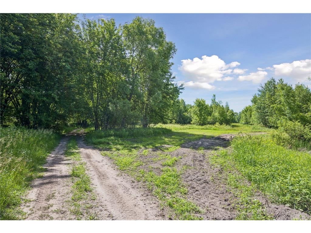 13763 County Road 3 Santiago Twp MN 55319 7074950 image61