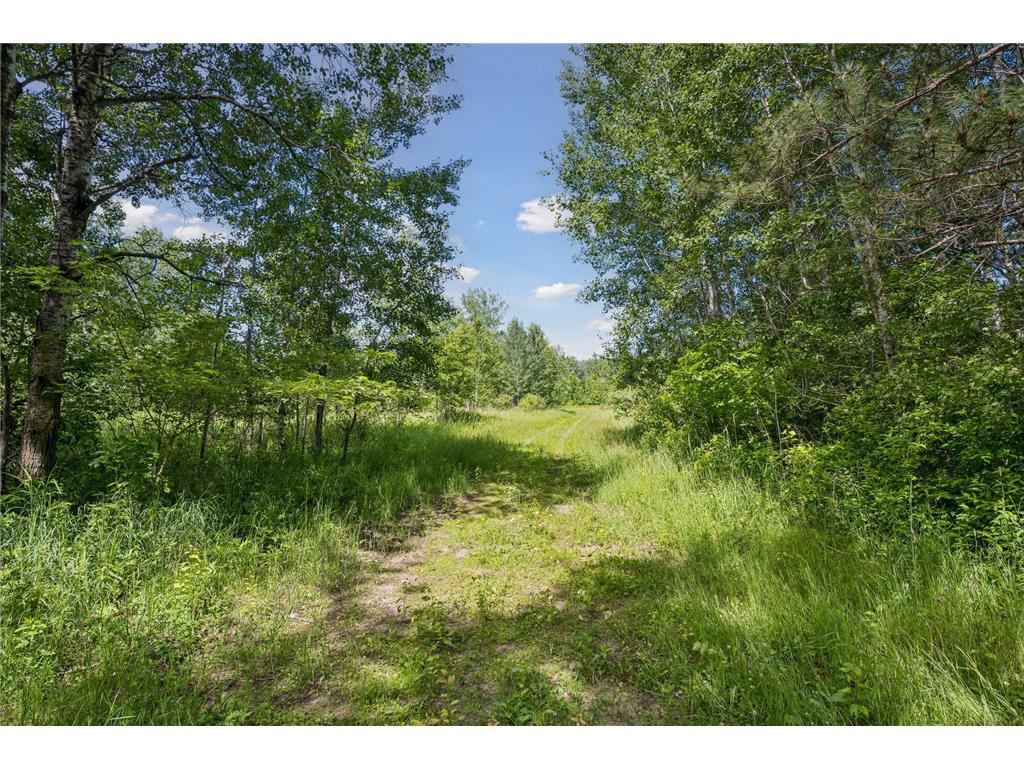 13763 County Road 3 Santiago Twp MN 55319 7074950 image62