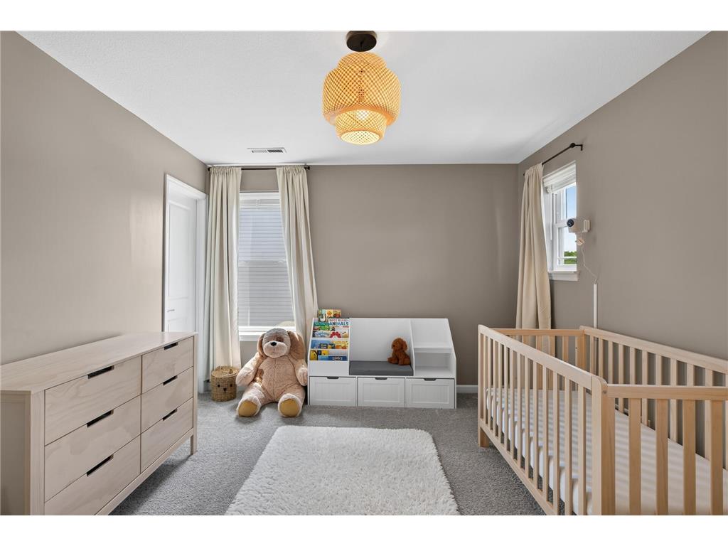 13769 56th Place N Plymouth MN 55446 7050247 image32
