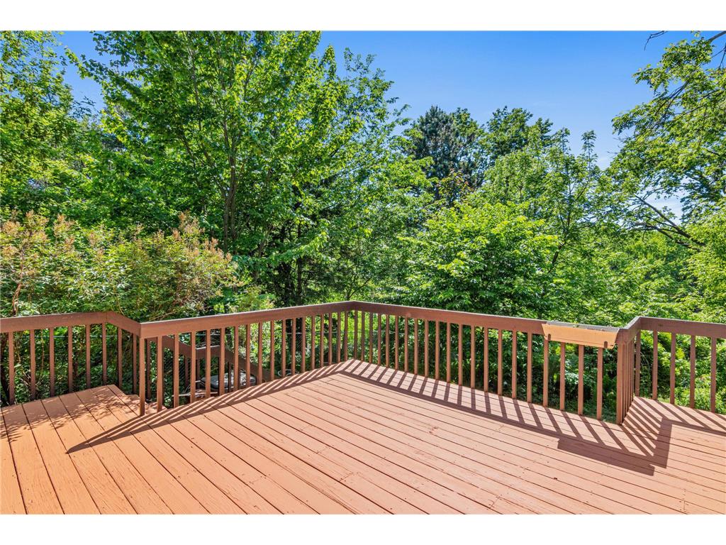 1377 2nd Avenue Newport MN 55055 - Mississippi 7081121 image51