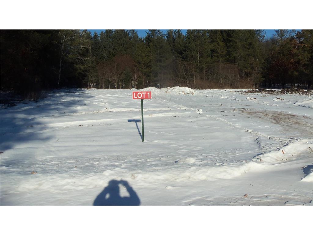 13786 Canute Creek Trl Anderson Twp WI 54840 7003731 image1