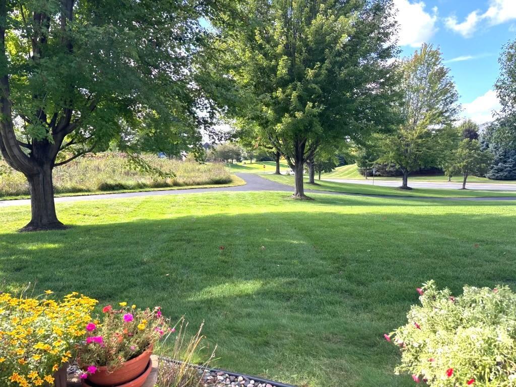 13793 Atwood Avenue #1706 Rosemount MN 55068 7037592 image25