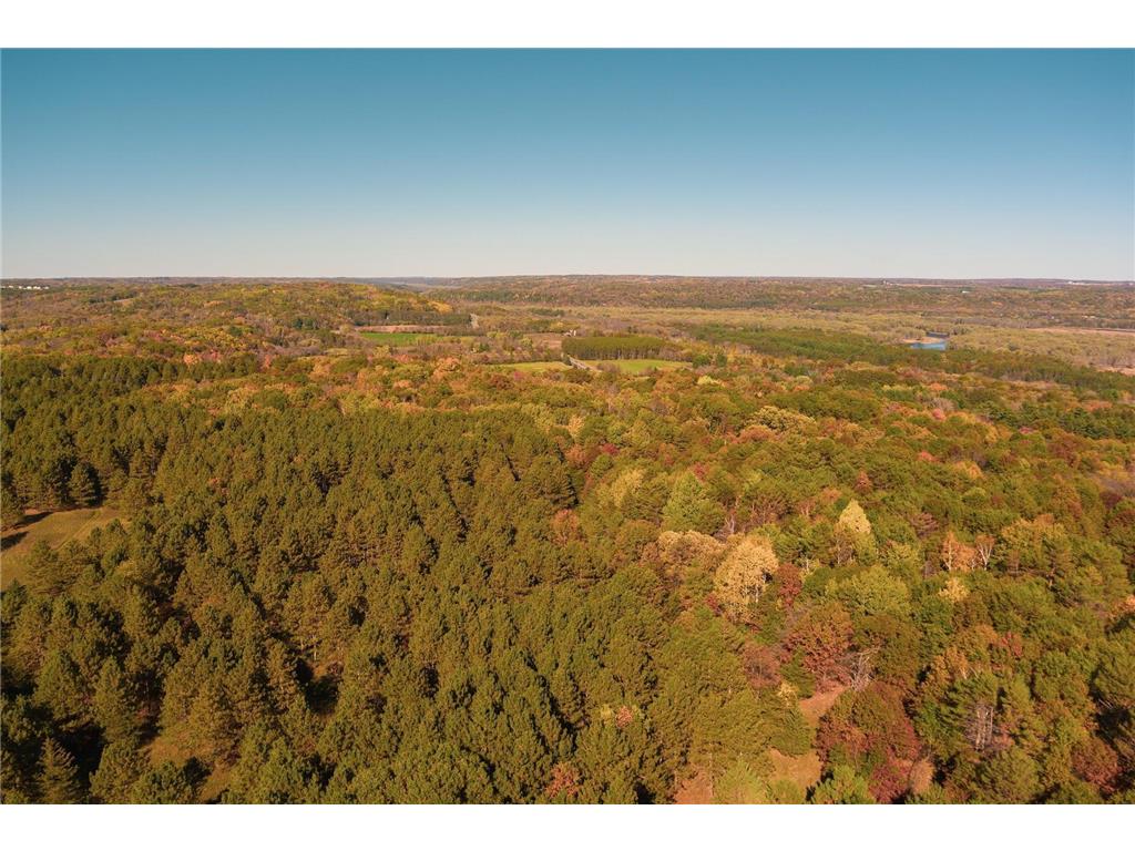 137XX St. Croix Trail N May Twp MN 55082 6628540 image1