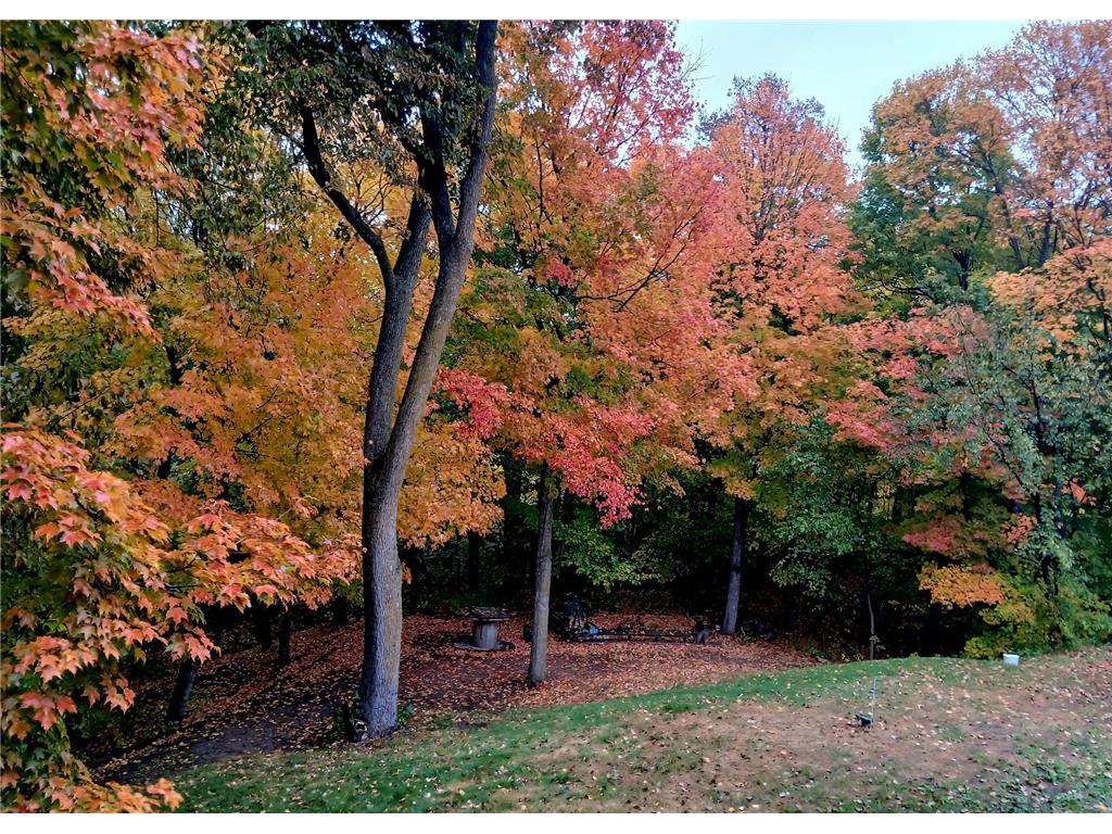 1380 90th Street SW Moe Twp MN 56308 - Lobster Lake 6774057 image2