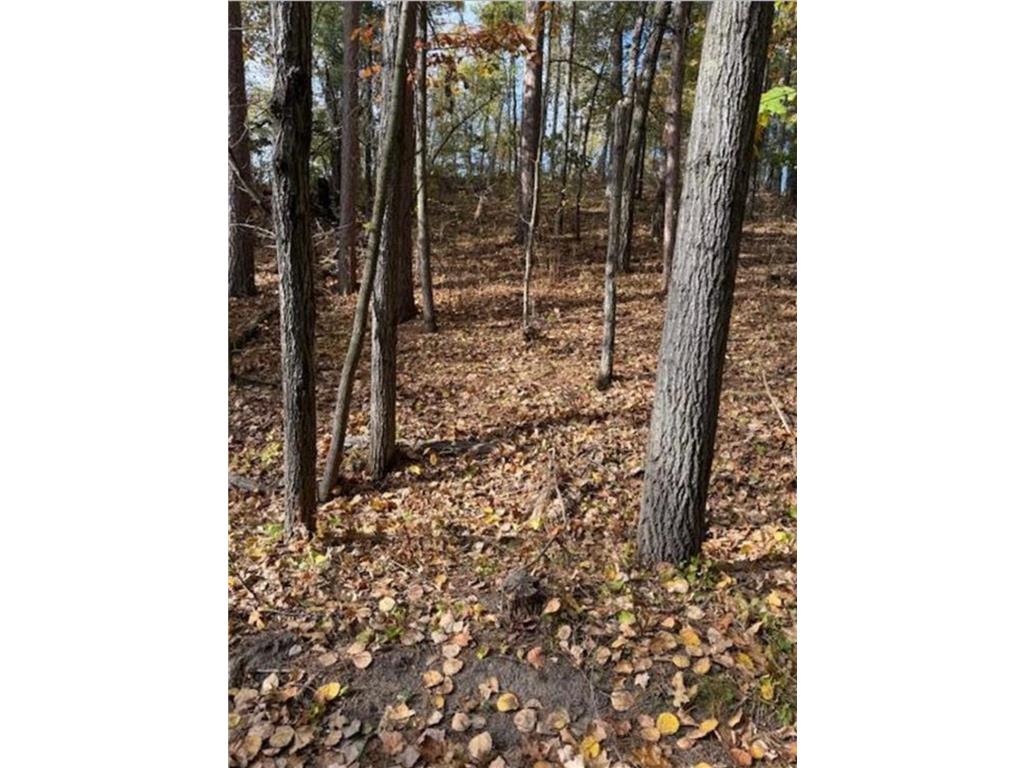 1380 Little John Road Lake Shore MN 56468 7061333 image3