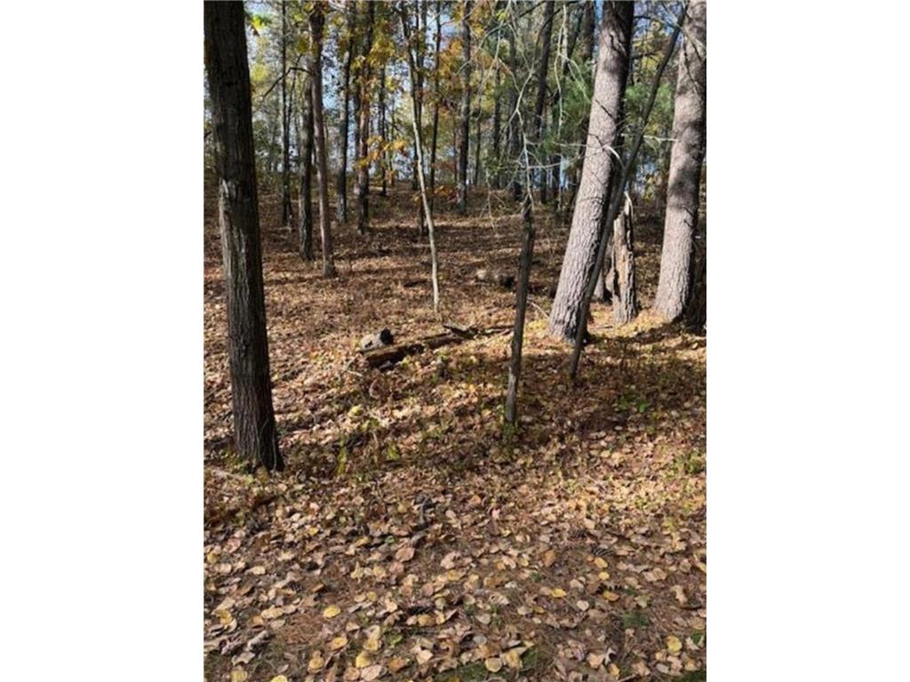 1380 Little John Road Lake Shore MN 56468 7061333 image8