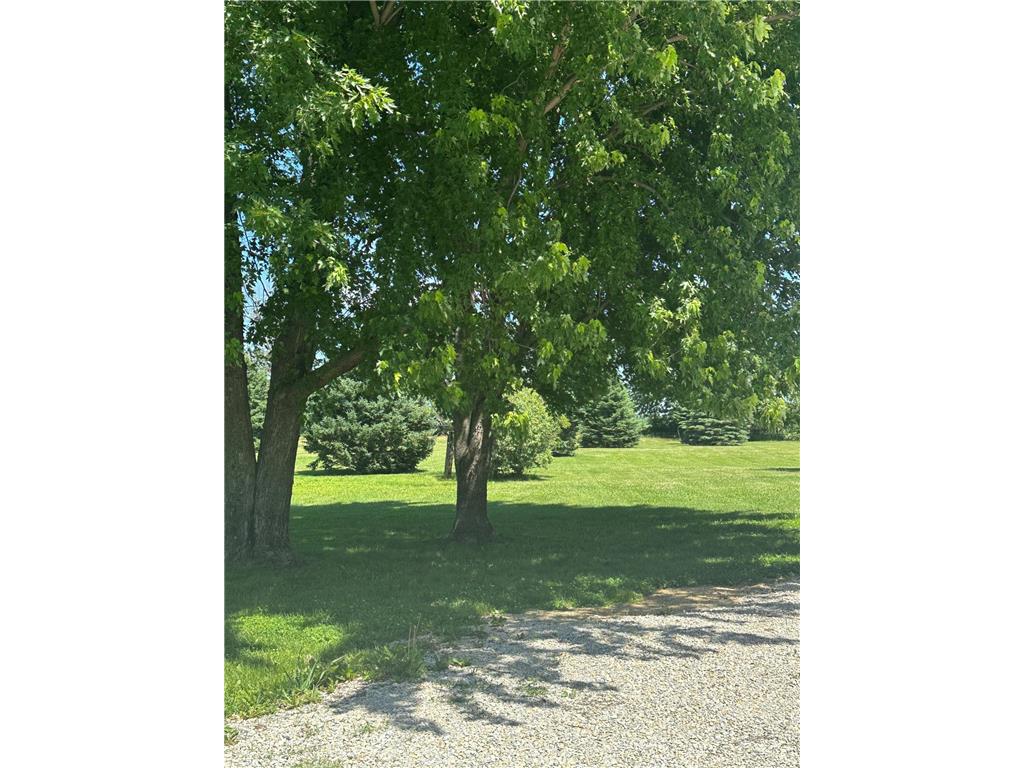 13803 County 14 Bloomfield Twp MN 55975 7093377 image4