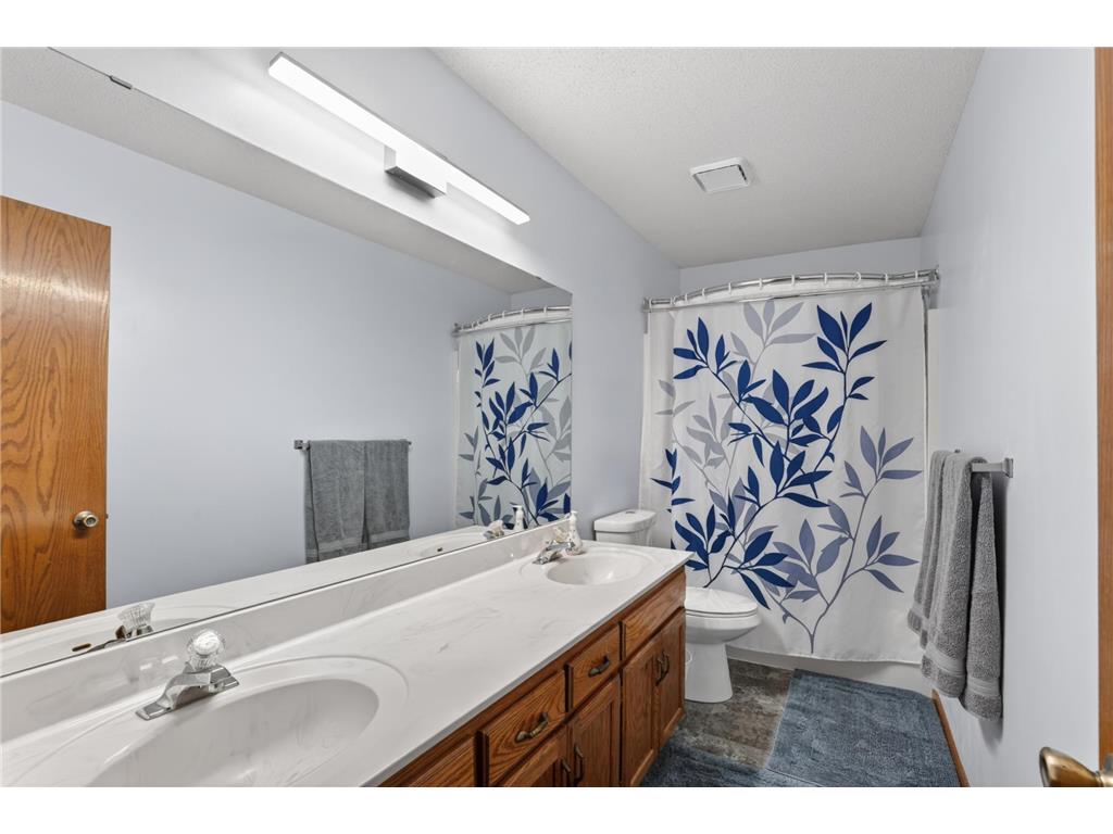 13806 Zarthan Court Savage MN 55378 7084909 image11