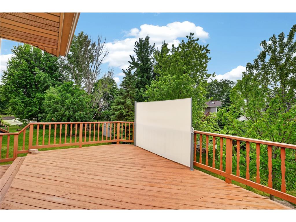 13806 Zarthan Court Savage MN 55378 7084909 image25