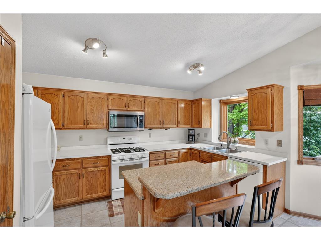 13806 Zarthan Court Savage MN 55378 7084909 image9