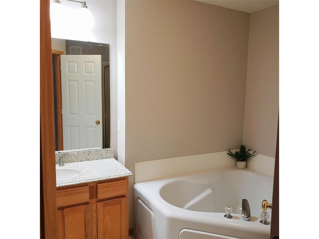 13828 52nd Avenue N Plymouth MN 55446 6815074 image14