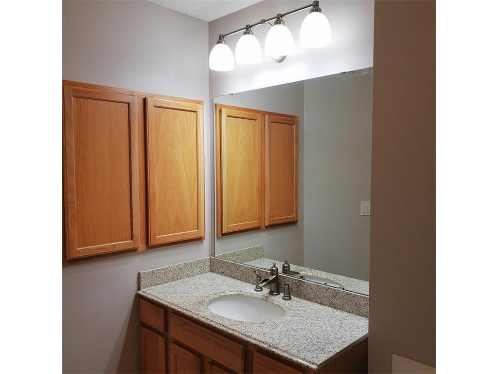 13828 52nd Avenue N Plymouth MN 55446 6815074 image17