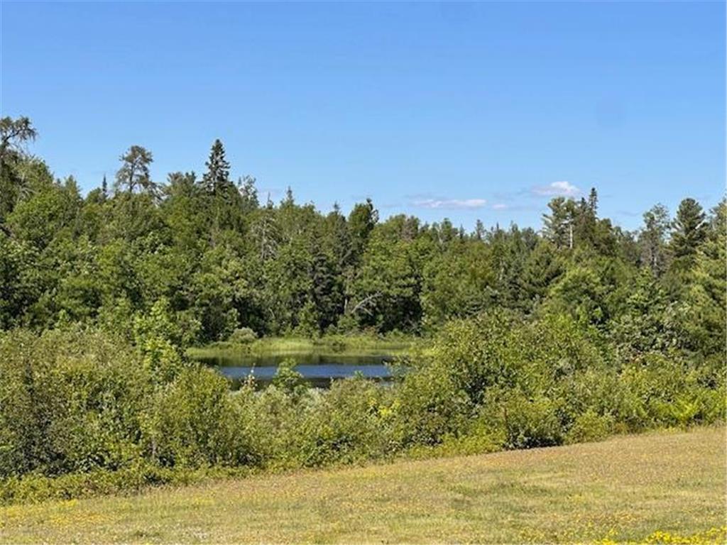 1383 Kelly Trail Stony River Twp MN 55607 - Stony River 7046367 image23