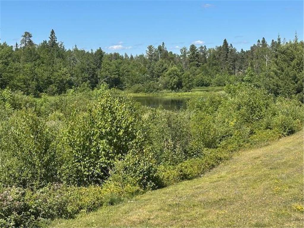 1383 Kelly Trail Stony River Twp MN 55607 - Stony River 7046367 image38