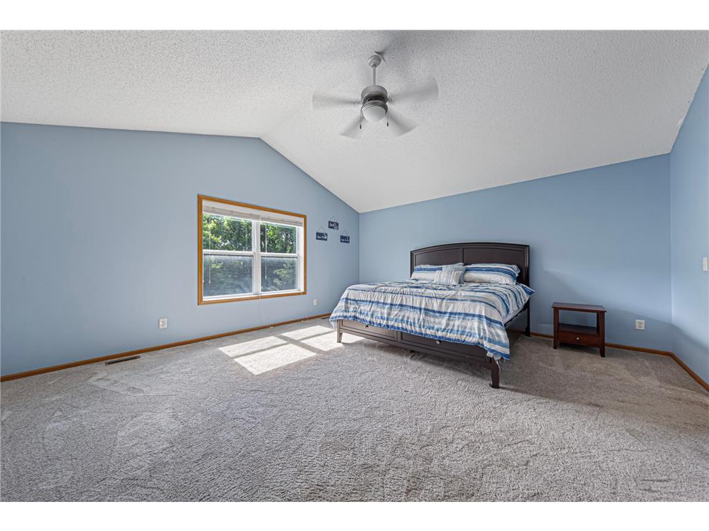 13837 Azalea Avenue Rosemount MN 55068 7094092 image35