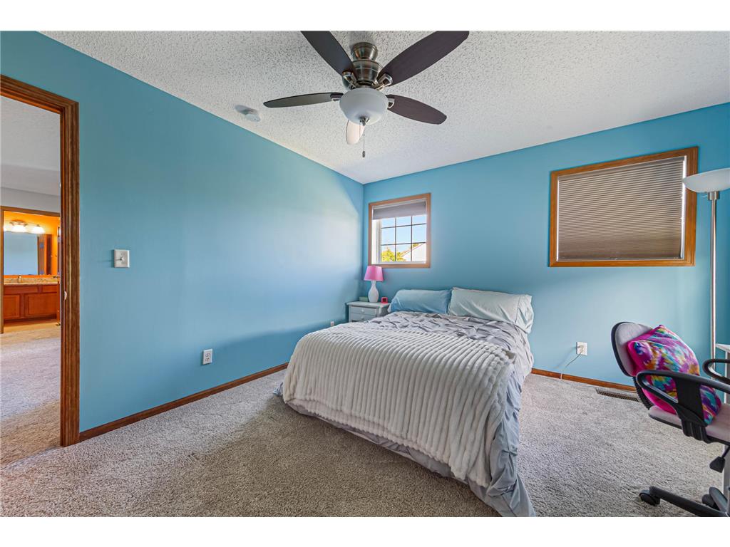 13837 Azalea Avenue Rosemount MN 55068 7094092 image46
