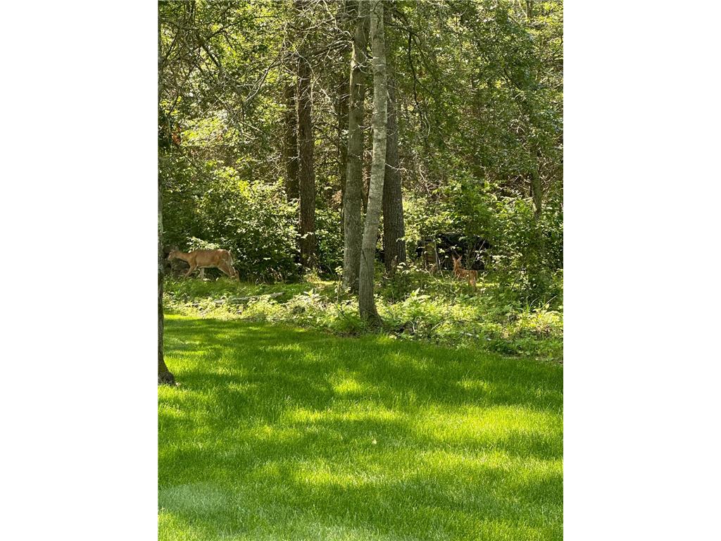 13837 Oakwood Drive Baxter MN 56425 7089780 image3
