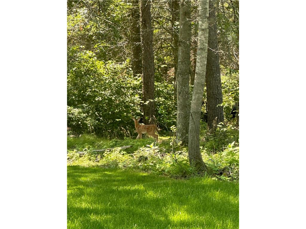 13837 Oakwood Drive Baxter MN 56425 7089780 image37