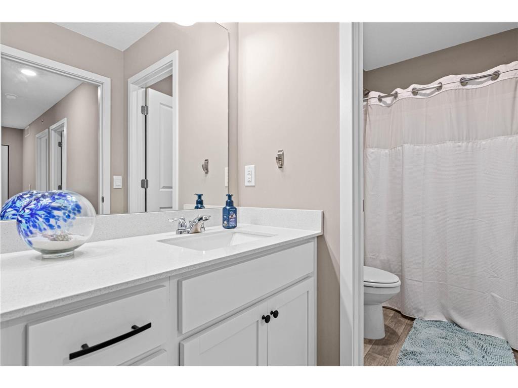 13840 Kaylemore Trail Rosemount MN 55068 7065014 image25