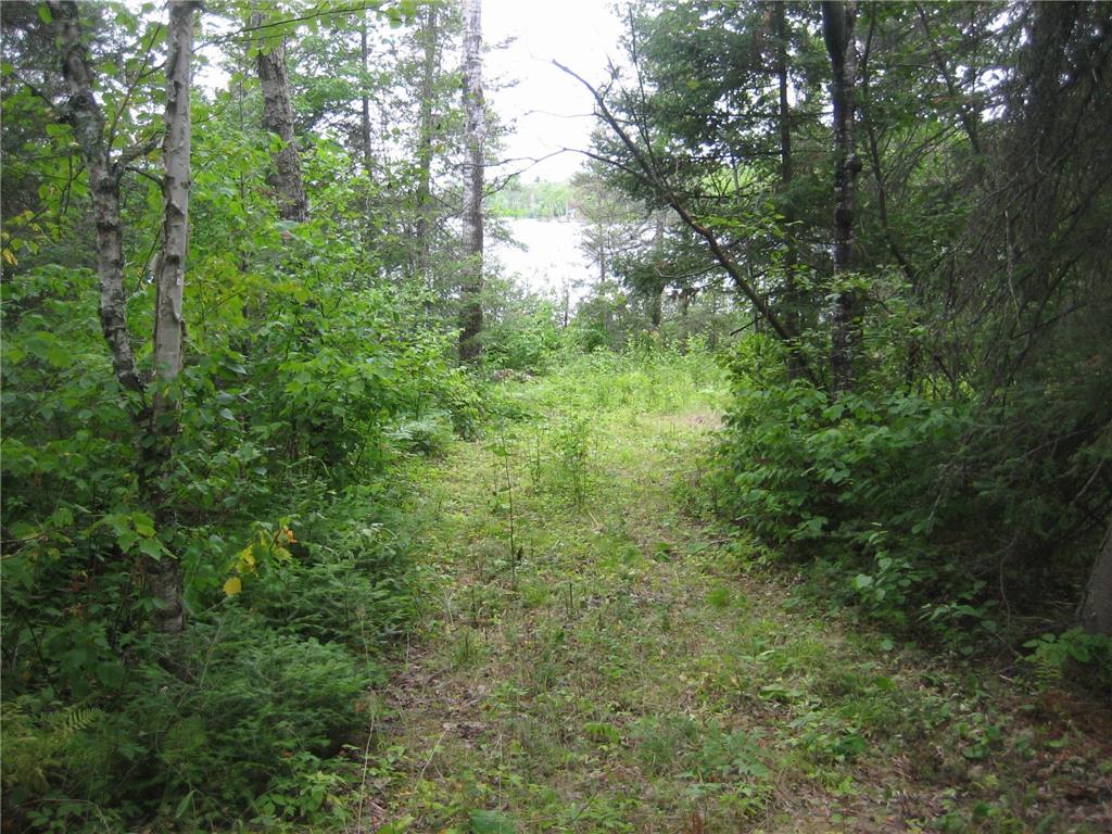 13848 Queens Bay Road Fall Lake Twp MN 55731 - Garden 6727342 image8