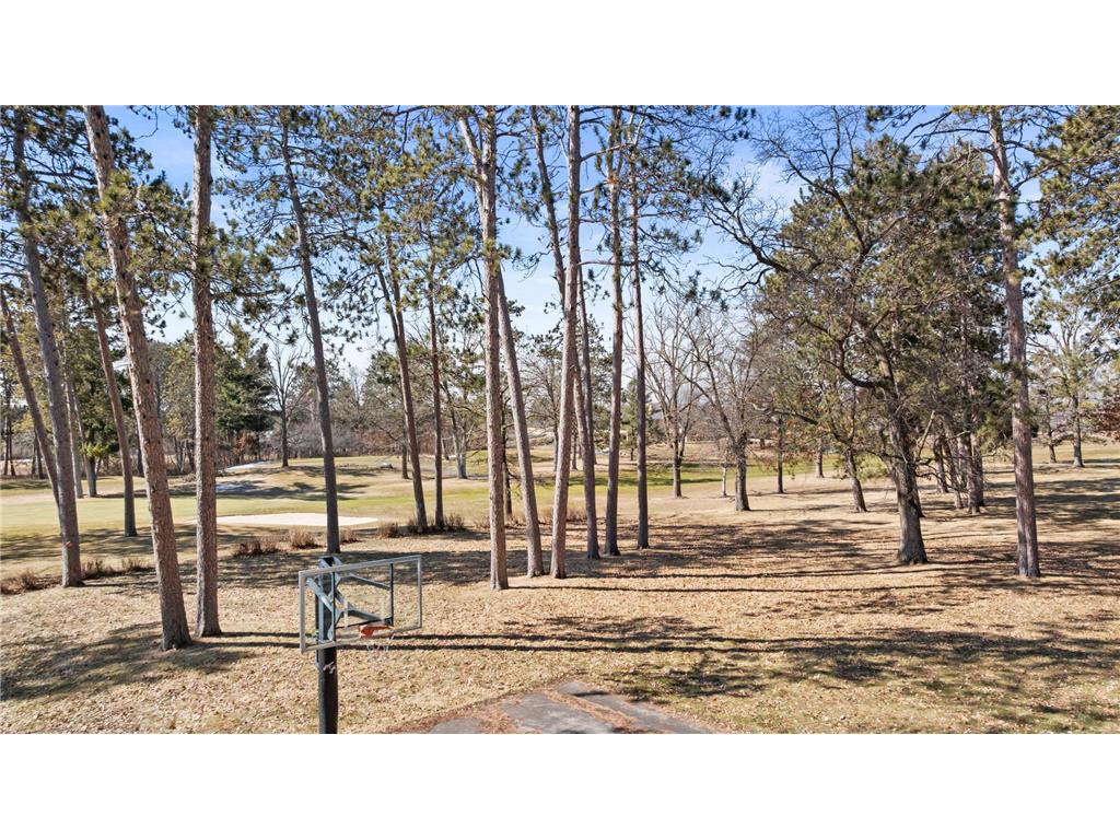 13849 Leaf River Road Wadena MN 56482 7026244 image44