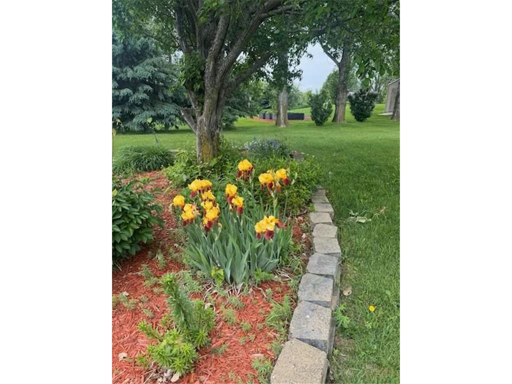 13850 59th Street NE Saint Michael MN 55376 7018258 image34