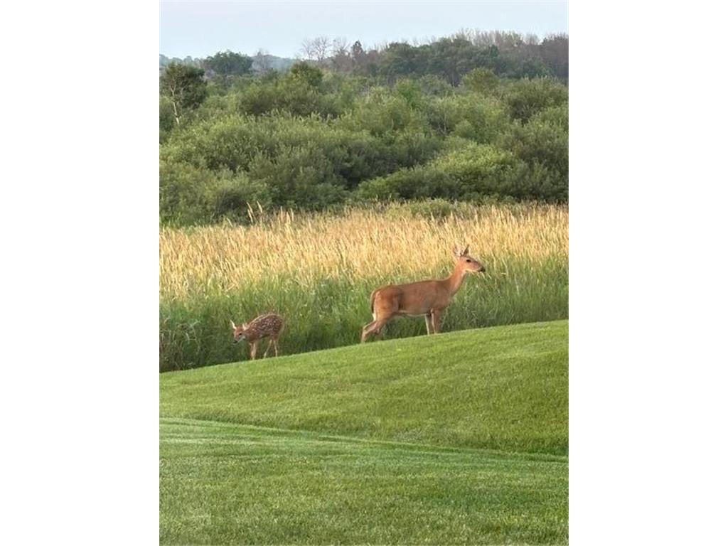 13852 Geneva Avenue N Hugo MN 55038 6809727 image42