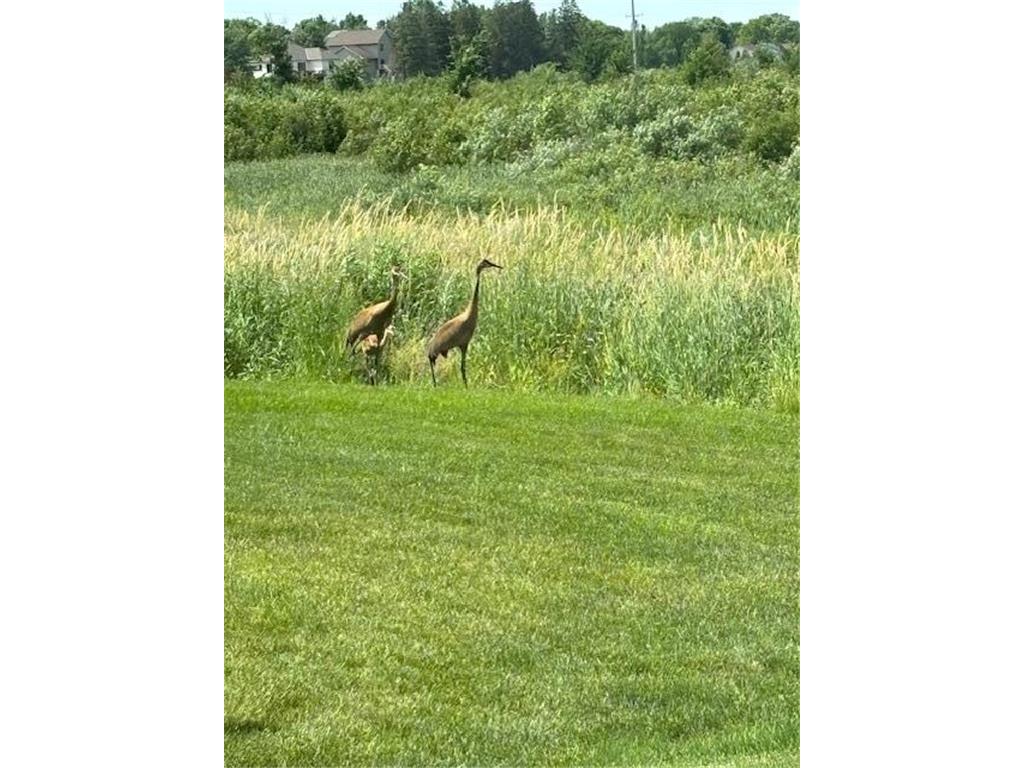 13852 Geneva Avenue N Hugo MN 55038 6809727 image43