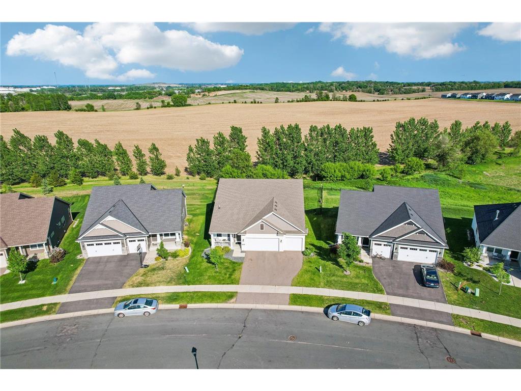 13856 Anderson Drive Rosemount MN 55068 7077870 image53
