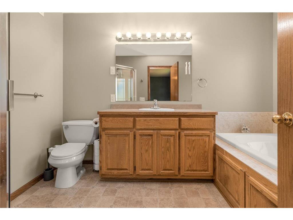13859 Birchwood Avenue Rosemount MN 55068 7080421 image23